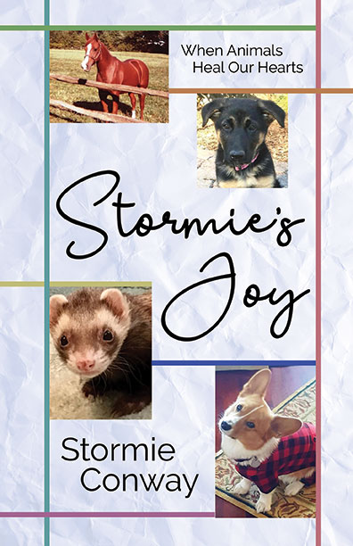 Stormie's Joy by S.C. Conway