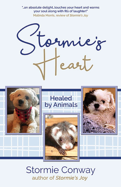 Stormie's Heart by Stormie Conway