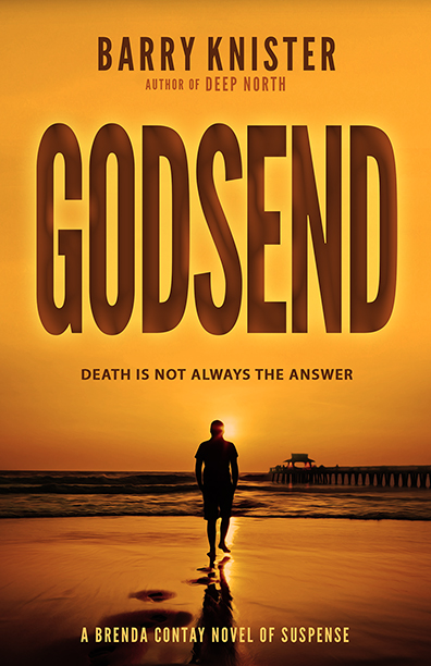 Godsend - Barry Knister