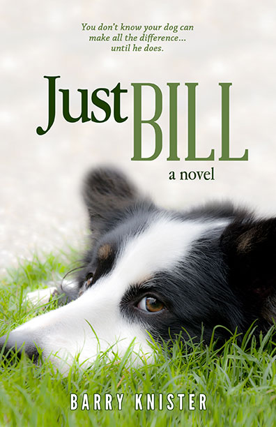 Just Bill by Barry Knister